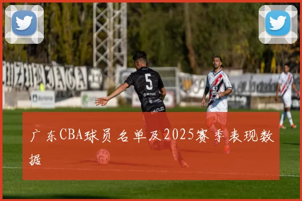 广东CBA球员名单及2025赛季表现数据