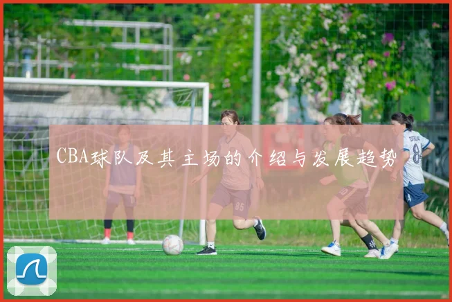 CBA球队及其主场的介绍与发展趋势