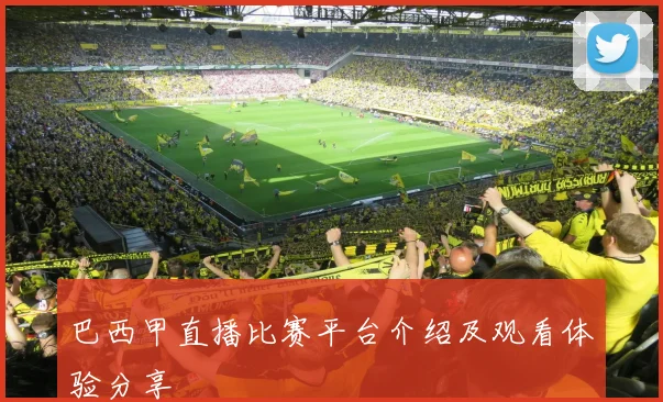 巴西甲直播比赛平台介绍及观看体验分享